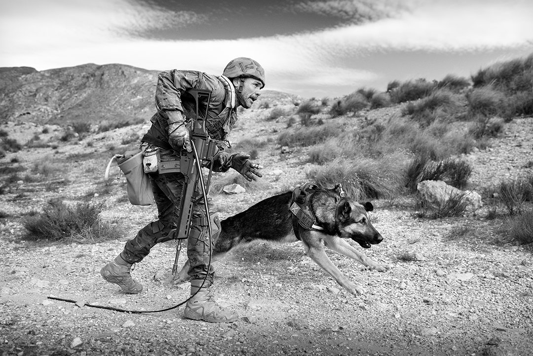 A service member moving with equipment beside a dog.